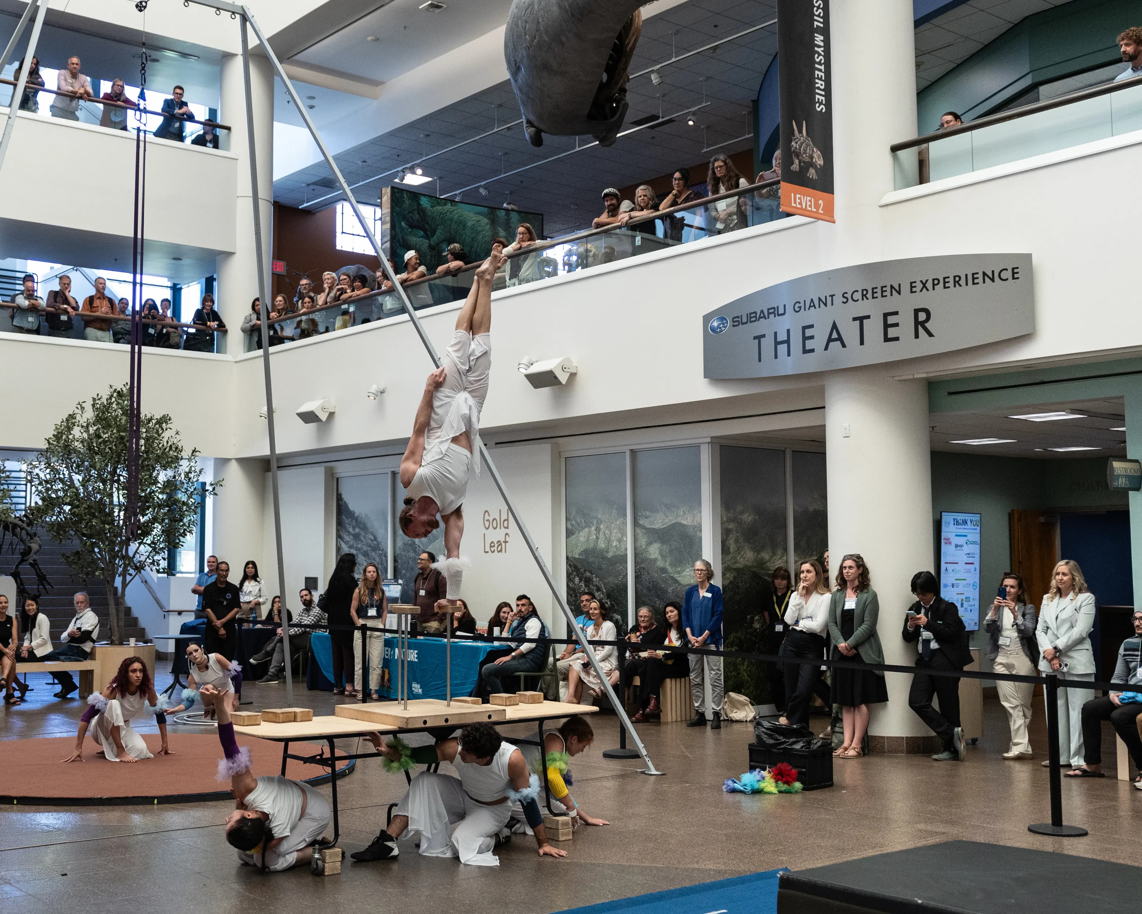 San Diego Natural History Museum bespoke show