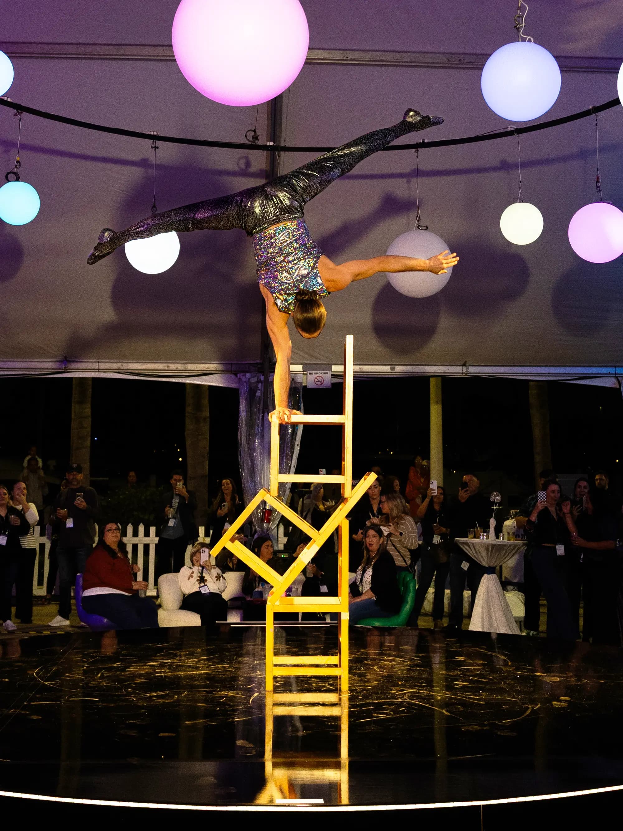 Specialty circus acts